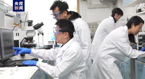 我國科研人員實現二維金屬碲化物材料宏量制備，助力材料科學規?；瘧? />
</span>
<span id=